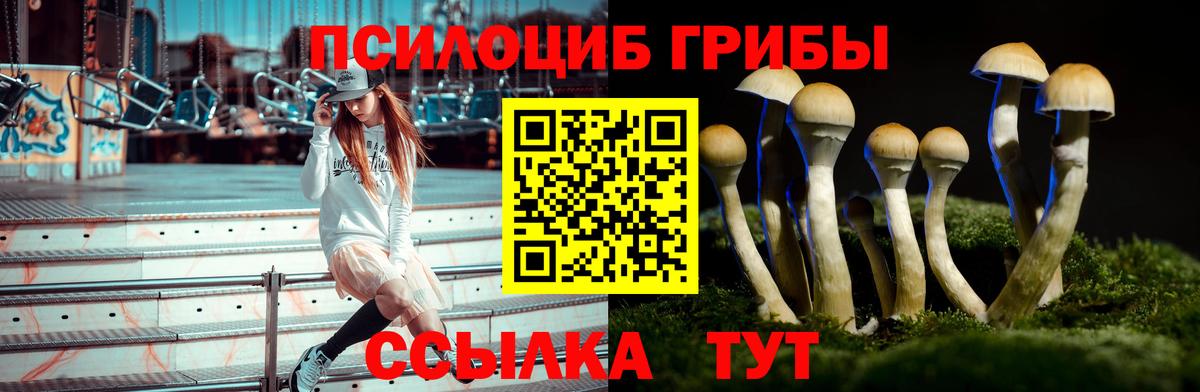 Галлюциногенные грибы ЛСД Альметьевск